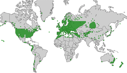 bron: wilde-planten.nl, 2015 bron: wilde-planten.nl, 2015