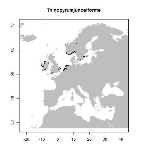 Distribution data GBIF, July 2016. doi:10.15468/dl.8xcjfk