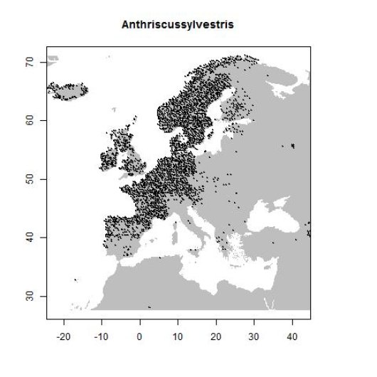 Distribution data GBIF, February 2017. doi:10.15468/dl.ufzjx7