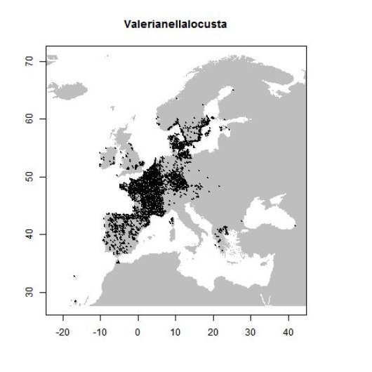 Distribution data GBIF, May 2017. doi:10.15468/dl.0urrcd