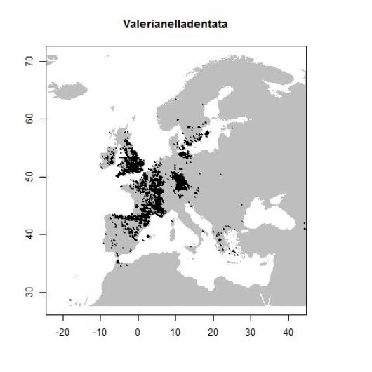Distribution data GBIF, June 2016. doi:10.15468/dl.2nxud0