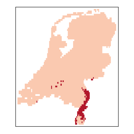 Ribesnigrum_NL_C26-small.png