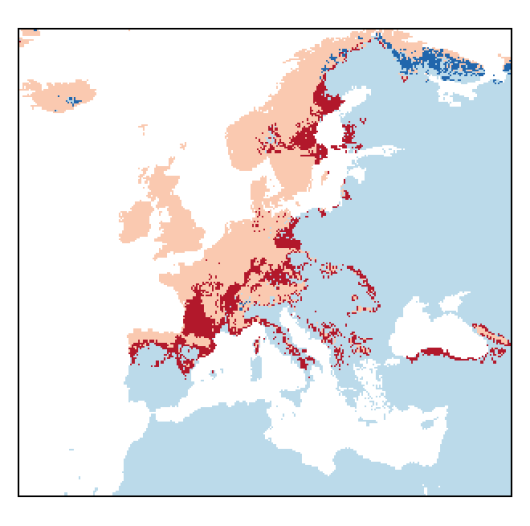 Agrostiscapillaris_EU_C26-small.png