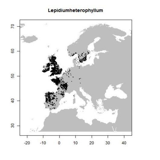 Distribution data GBIF, July 2016. doi:10.15468/dl.hpv9v8