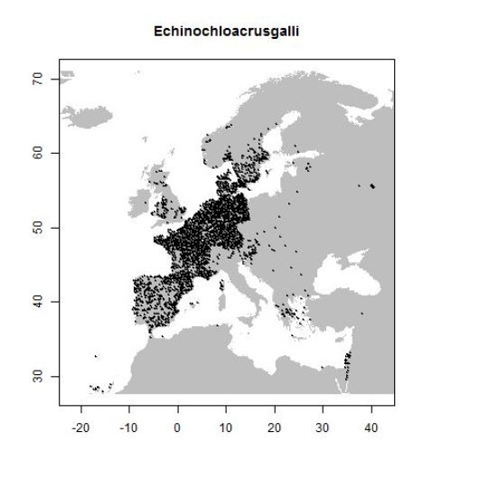 Distribution data GBIF, July 2017. doi:10.15468/dl.jpbhlv