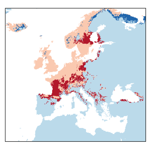 Alopecuruspratensis_EU_C26-small.png