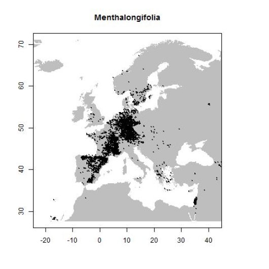 Verspreidingsgegevens GBIF, augustus 2017. doi:10.15468/dl.s67qez
