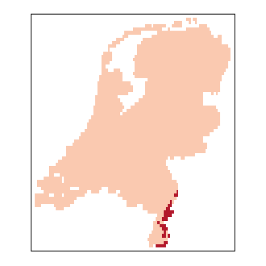 Poapratensis_NL_C85-small.png