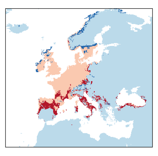 Alliumvineale_EU_C26-small.png