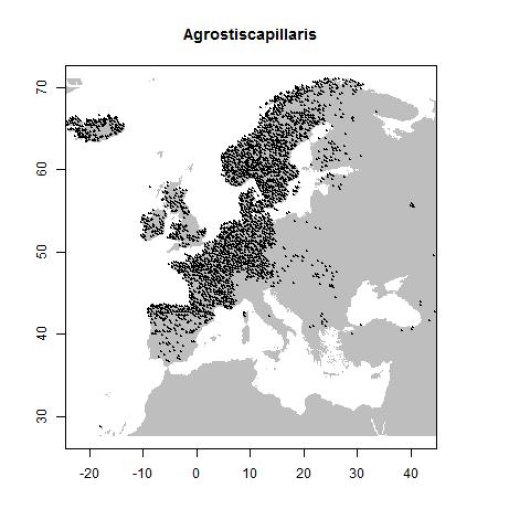 Verspreidingsgegevens GBIF, december 2016. doi:10.15468/dl.wsfpl5