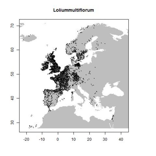 Distribution data GBIF, August 2016. doi:10.15468/dl.effti6