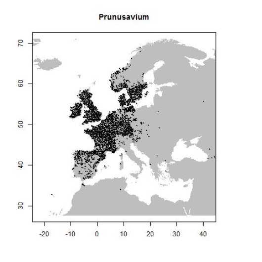 Verspreidingsgegevens GBIF, augustus 2016. doi:10.15468/dl.xadx1u
