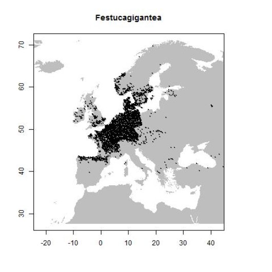 Distribution data GBIF, November 2016. doi:10.15468/dl.uglwpb