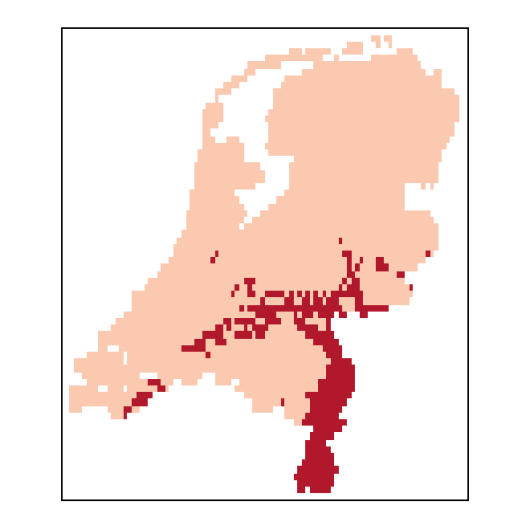 Agrostisvinealis_NL_C26-small.png